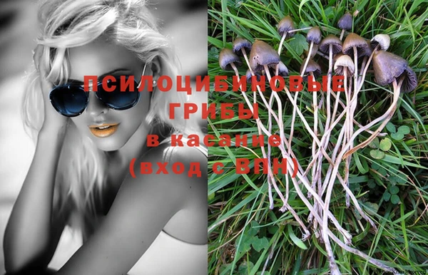 прущая мука Переславль-Залесский