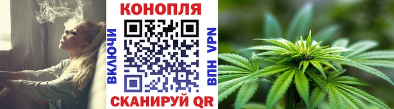 Бошки Шишки конопля Кинешма